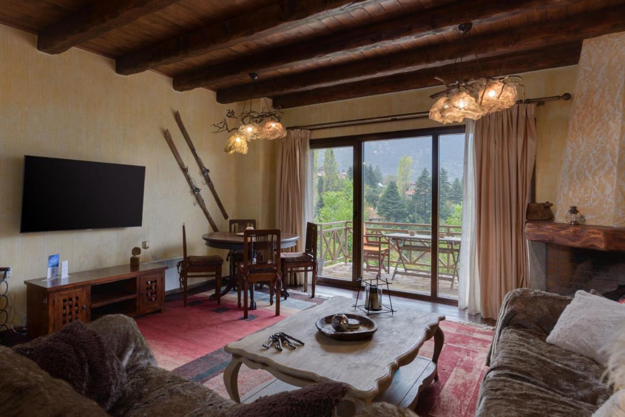 Parnassus Dreamwood Chalet Επτάλοφος Εξωτερικό φωτογραφία